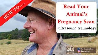 How to read the pregnancy scans of your livestock and display of different scanning equipment!