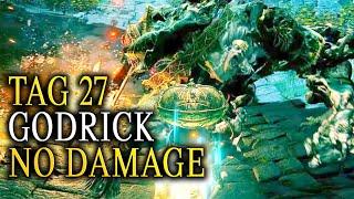 Elden Ring DLC Wartezimmer | Tag 27 GODRICK No Damage