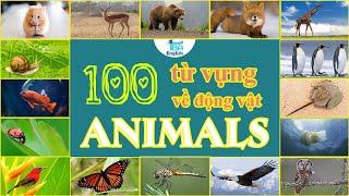 100 TỪ VỰNG TIẾNG ANH CƠ BẢN VỀ CHỦ ĐỀ ĐỘNG VẬT | ANIMALS NAME IN ENGLISH | TBA English