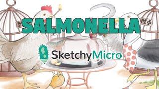 Salmonella's Salmon Diner - SketchyMicro / Sketchy Medical (USMLE Step 1)