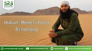 Hukum Memelihara Binatang - Ustadz DR Syafiq Riza Basalamah MA