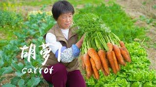 Pull out carrots to make four kinds of cakes. The steamed green rice cake is green,  and sweet!