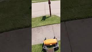 ASMR Fiskars Reel Mowing  - Day 2