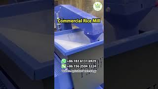 600 kg/h Commercial Rice Mill Machine - Western Agricultural Technology