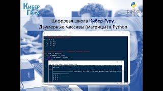 Двумерные массивы в Python