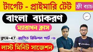 WB Primary TET Bangla Class - 47 | প্রাইমারি টেট বাংলা ক্লাস | বাংলা  ব্যাকরণ | The Way of Solution