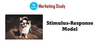 Stimulus and Response Model