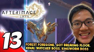 #13 AFTERIMAGE Forest Foregone, Got Breaking Floor, Bosses: Xenal Watcher, Kingworm