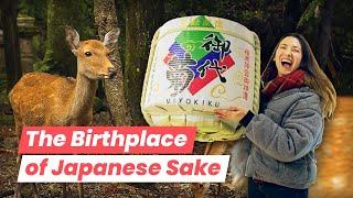 I Drank Sake All Day in Nara, Japan's Ancient Capital!