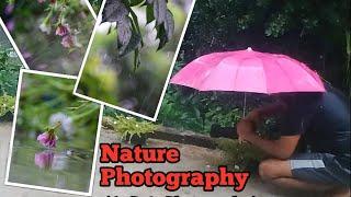 Nature Photography In Rain . Use My Nikon D5300 And 70-300mm Lens. #photography #janaphotography