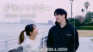 COVER『ドライフラワー』優理／『Dried Flower』Yuuri (by Erika Ebisawa ft. Mikiya)