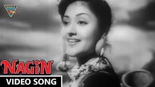 Man Dole Mera Tan Dole Video Song || Nagin (1954) Movie ||  Vyjayanthimala, Pradeep Kumar