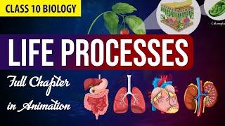 Life processes Full chapter | class 10 Animated video | 10th BIOLOGY | ncert #science | Chapter 6