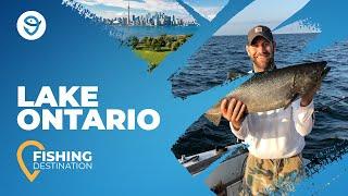 Lake Ontario Fishing: The Complete Guide | FishingBooker