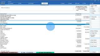 Tally Prime: Print Ledger Details through Group Ledger Summary Report by Selection