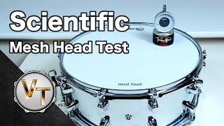“Scientific” Mesh Head Test