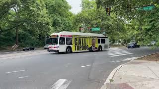 Buses in Philadelphia, Pennsylvania 2024 (SEPTA)