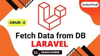 Fetch Data from Database in Laravel - Get and Display data in blade Laravel 10