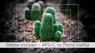 Głębia ostrości APS-C vs Pełna klatka - Jaka jest prawdziwa różnica?