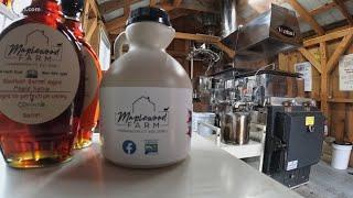 Sugarmakers in Connecticut celebrate arrival of maple syrup season