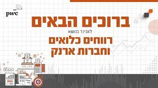 קבוצת המסים מציגה: וובינר בנושא - רווחים כלואים וחברות ארנק