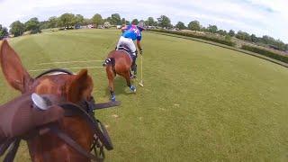 Fast, Open, Tough Polo - Polo Ponies Fight for the Win | Equestrian