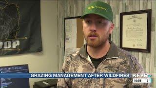 NDSU Extension recommends post-wildfire grazing guidelines