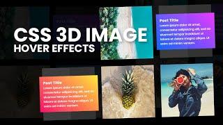 Responsive CSS 3D Image Hover Effects | 3D Flip Card Effect On Hover Using HTML & CSS