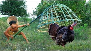 building traps for hunting turkey,Catch turkey using frames, Cooking delicious turkey