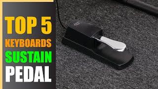 Best Sustain Pedal for Keyboards & Digital Pianos: Your Complete Guide (2024)