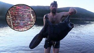 10 People Survive In The Wilderness; He Entered The Water Bare-Bodied In Winter To Capture A Beaver.