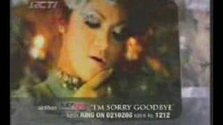 Krisdayanti - I'm Sorry Goodbye CM