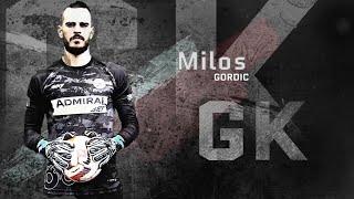 Milos Gordic ● Goalkeeper ● FK IMT Belgrade | Highlight video