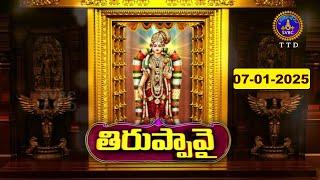 Dhanurmasotsavam || Tiruppavai || Tirumala || Day 23 || 07-01-2025 || SVBC TTD