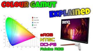 Color Gamut Explained in Hindi | Types of Color Gamut | sRGB, Adobe RGB, NTSC, DCI-P3