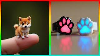 Creative Pet-Inspired Ideas That Are At Another Level