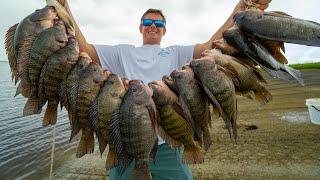 Highly INVASIVE Tilapia! Catch Clean Cook- Tilapia Ceviche + Smoked Tilapia Succotash