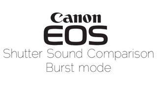 Comparison of Canon EOS Burst Shutter Sounds (visual)