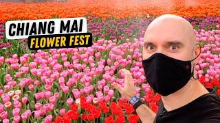 Chiang Mai Flower Festival 2022 