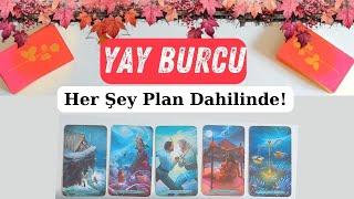 Yay Burcu - Her Şey Plan Dahilinde!