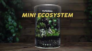 EASY Mini Terrarium Build - a DOOA MARU Pot Tutorial