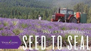 Young Living's Seed to Seal