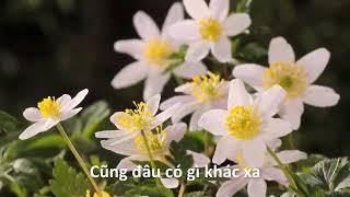 VỀ GIỮA THIÊN NHIÊN - Anna Nhã Tiên