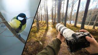 Relaxing POV Nature Photography｜Early Spring Vibes