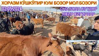 ХОРАЗМ | КЎШКЎПИР | КУМ БОЗОР МОЛ БОЗОРИ ОНА БОЛА СУТДОР  КСИР СИГИРЛАР | НАРИХЛАРИ АРЗОН БЎЛДИ |