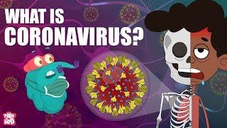 CORONAVIRUS | What Is Coronavirus? | Coronavirus Outbreak | The Dr Binocs Show | Peekaboo Kidz