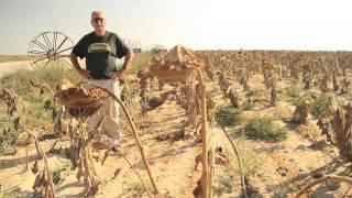 Recycling Water in the Negev Desert, Israel