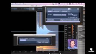 Music Pro Guides iZotope RX 2 - Beginner: Using "de-click" and "de-crackle"