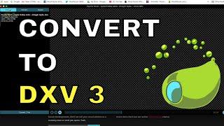 Resolume Avenue & Arena:  How to Convert Files to DXV (Tutorial)