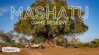 Botswana's magical Mashatu Game Reserve | Episode 1
